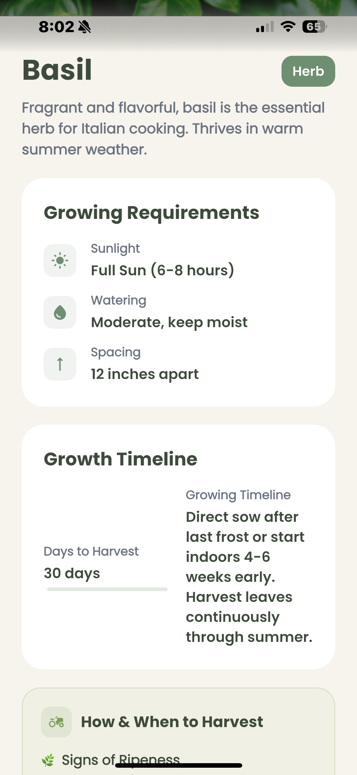 Plant care guide